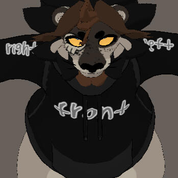 Top of Hoodie